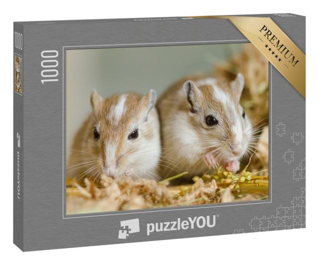 Puzzle 1000 Teile „Zwei niedliche Mongolische Rennmäuse“