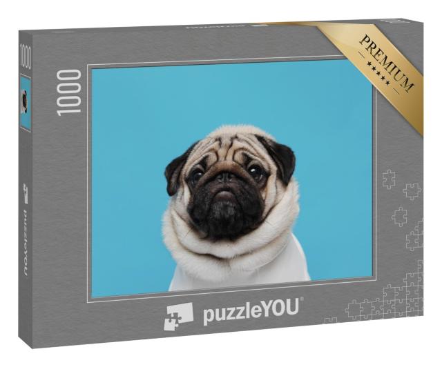 Puzzle 1000 Teile „Ein unwiderstehliches Mopsgesicht“