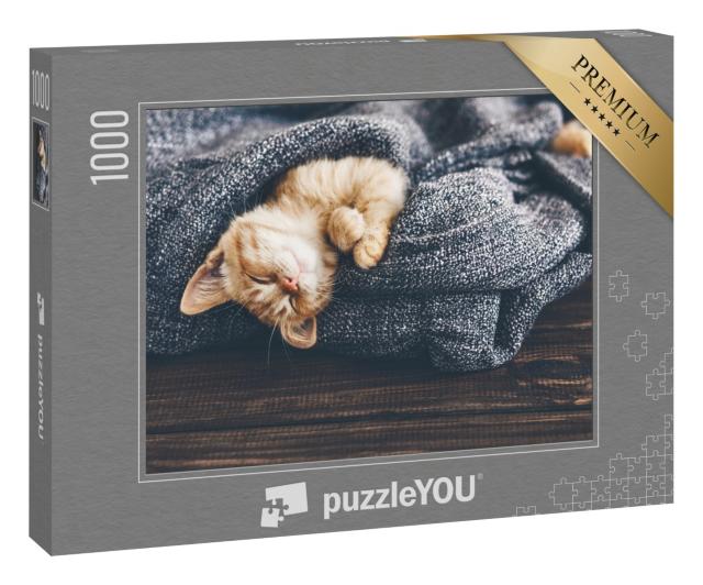 Puzzle 1000 Teile „Niedliche kleine Kätzchen, Ginger“