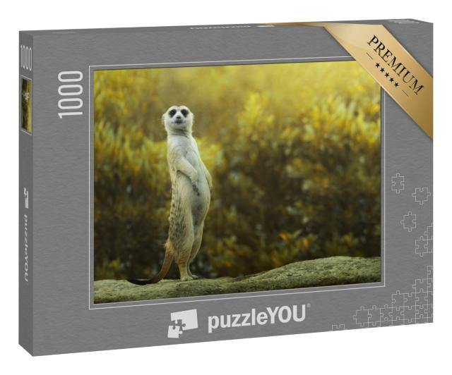 Puzzle 1000 Teile „Erdmännchen auf dem Stein stehend“