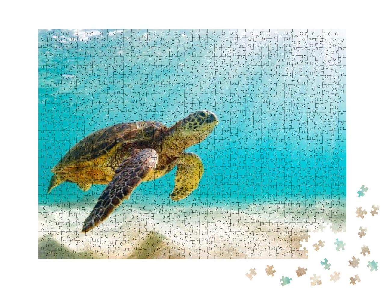 Puzzle 1000 Teile „Meeresschildkröte im Gewässer der der Galapagos-Inseln“