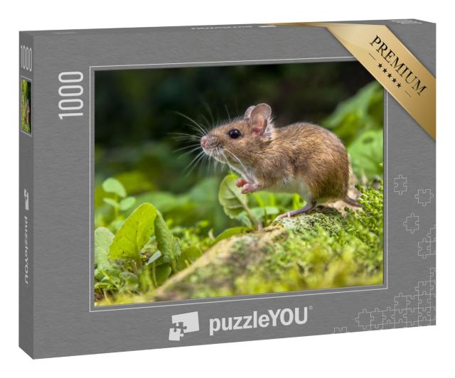 Puzzle 1000 Teile „Süße kleine Maus im Wald“