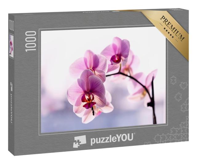 Puzzle 1000 Teile „Wunderschöne zarte Orchidee in Rosa“
