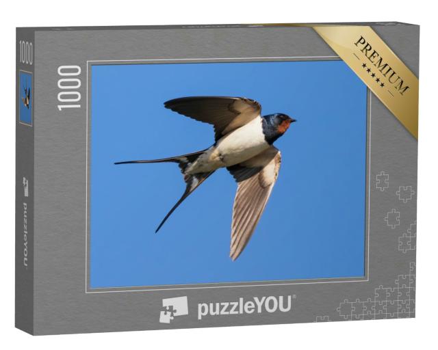 Puzzle 1000 Teile „Porträt einer fliegenden Rauchschwalbe“