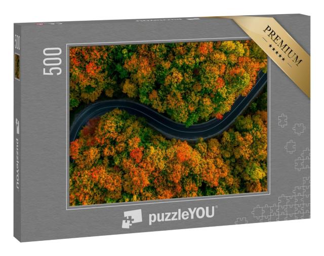 Puzzle 500 Teile „Vogelperspektive: Gewundene Straße im dichten Herbstwald“