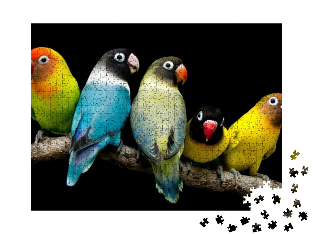 Puzzle 1000 Teile „Lovebird: Papagei mit prächtigen Farben“