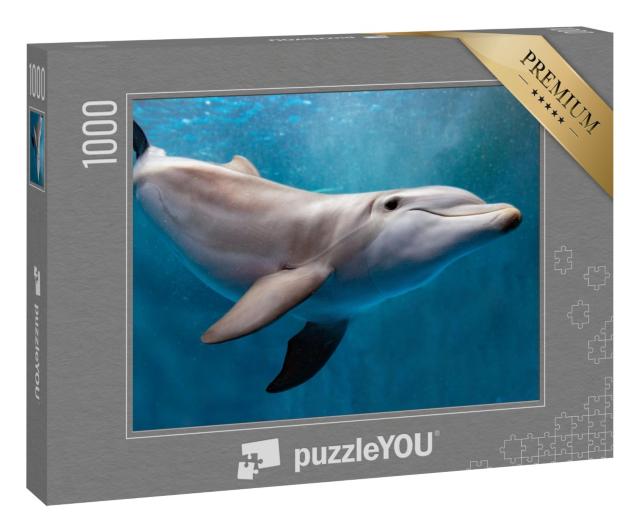 Puzzle 1000 Teile „Delphin unter Wasser auf blauem Ozean“