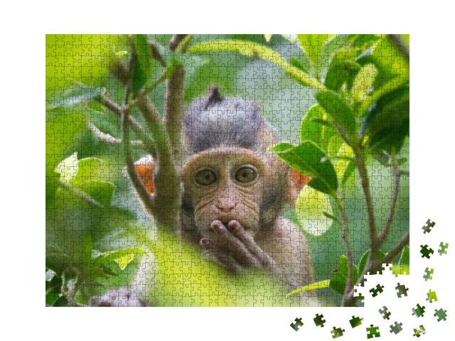 Puzzle 1000 Teile „Ein niedlicher Affe lebt in einem natürlichen Wald in Thailand.“