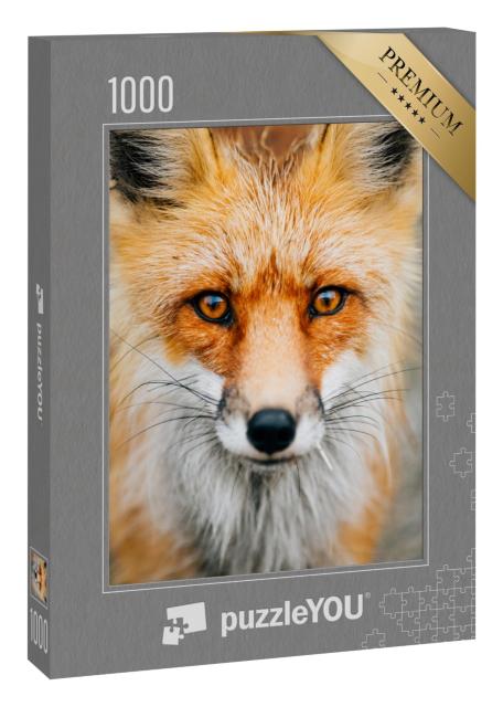 Puzzle 1000 Teile „Nahaufnahme: aufmerksamer kleiner Wildfuchs“