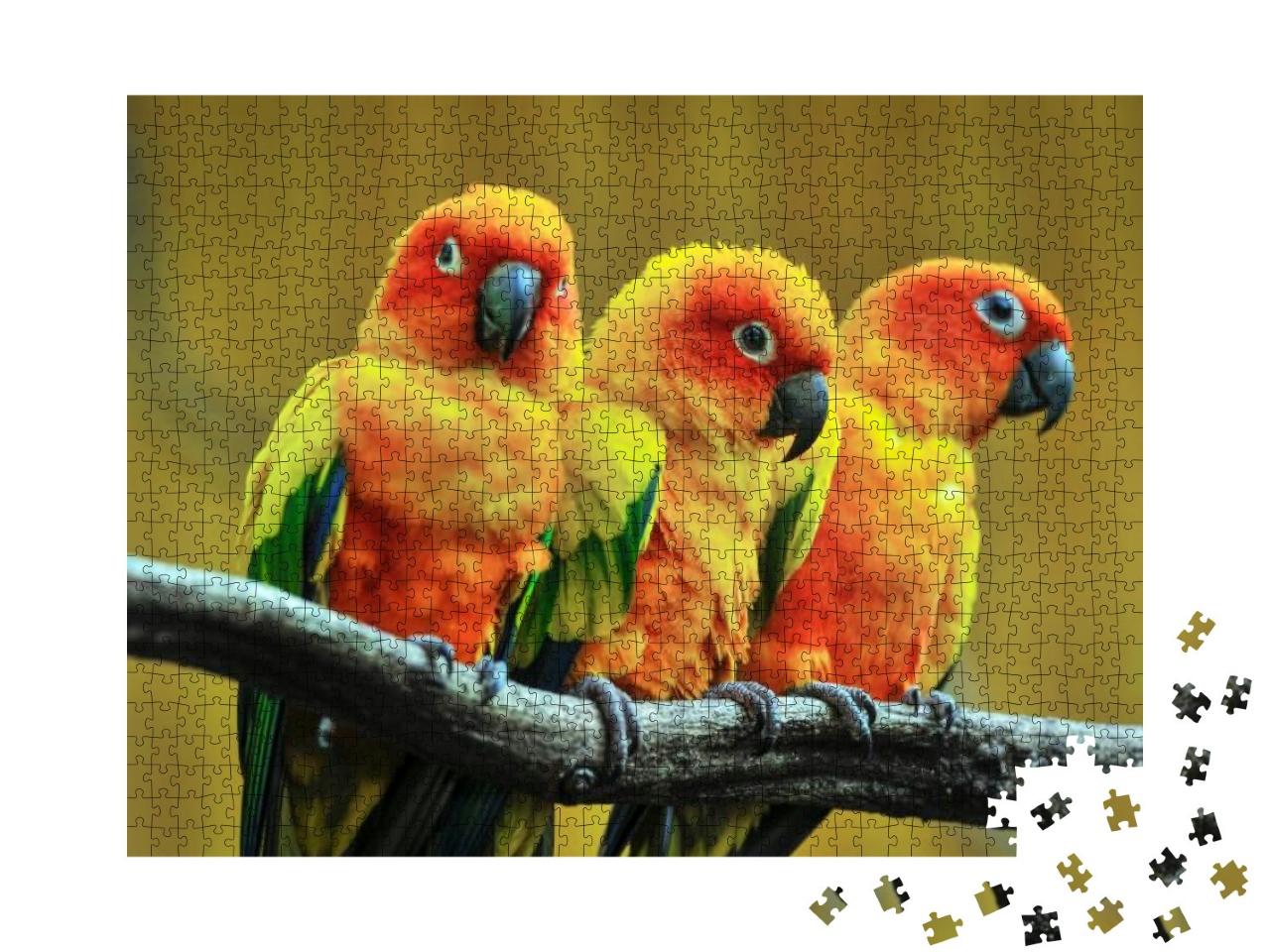 Puzzle 1000 Teile „Schöner Papagei, Sonnensittich auf einem Baumzweig.“