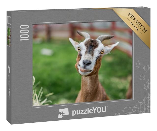 Puzzle 1000 Teile „Nahaufnahme: lustige Ziege auf der Wiese“
