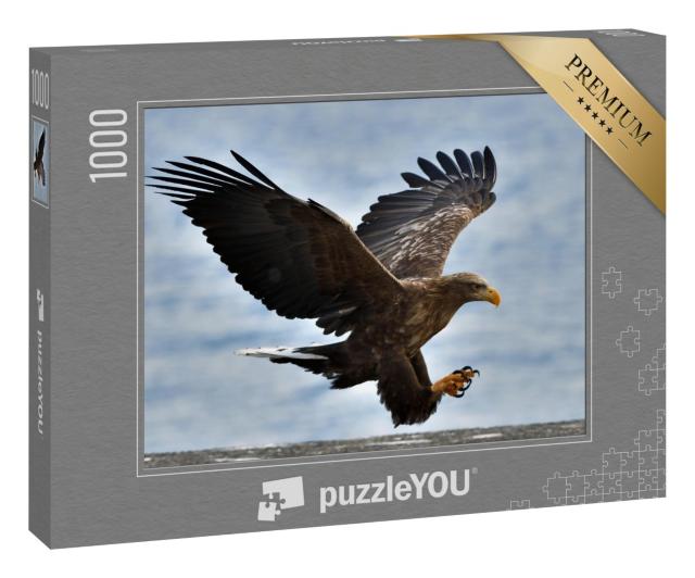 Puzzle 1000 Teile „Seeadler fliegt vor blauem Himmel“