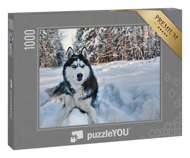 Puzzle 1000 Teile „Husky im Schnee“