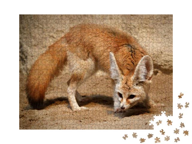 Puzzle 1000 Teile „Fennek-Fuchs auf der Jagd“