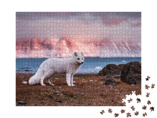 Puzzle 1000 Teile „Polarfuchs in den Strahlen der Herbstsonne“