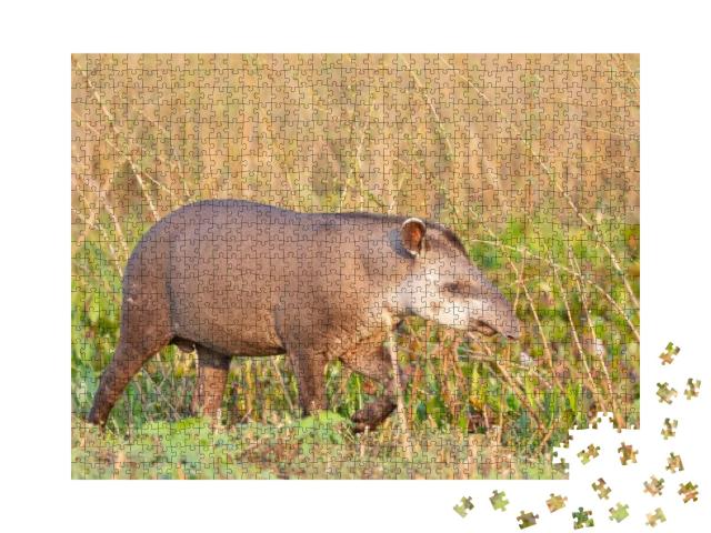 Puzzle 1000 Teile „Tapir, Flachlandtapir im brasilianischen Dschungel“