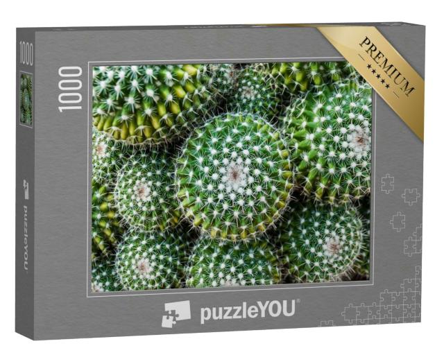 Puzzle 1000 Teile „Nahaufnahme des Goldenen Tonnenkaktus aus Zentralmexiko“
