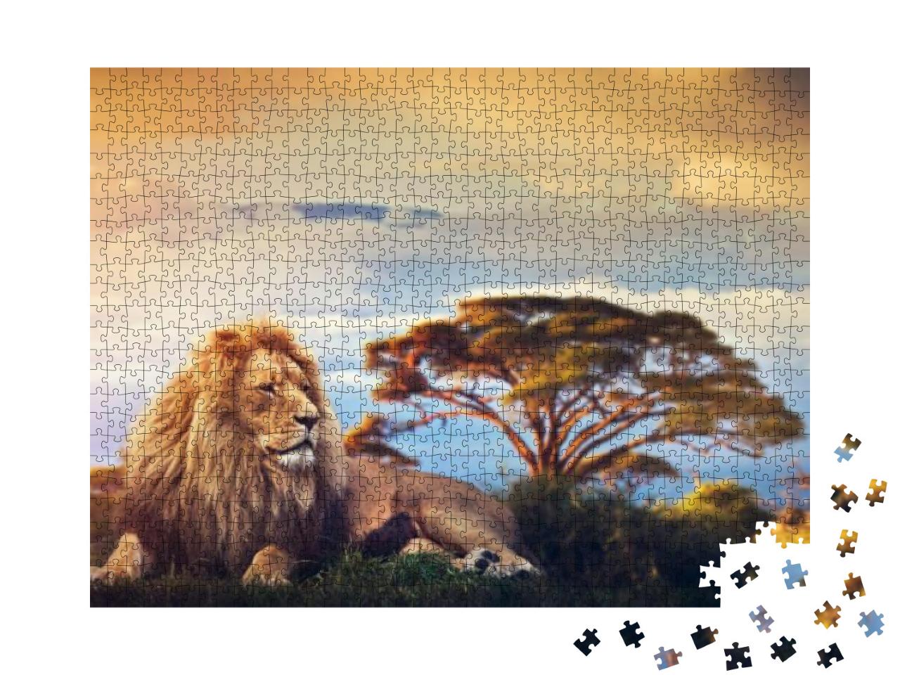 Puzzle 1000 Teile „Ein Löwe liegt inmitten der Savanne vor dem Kalimandscharo“