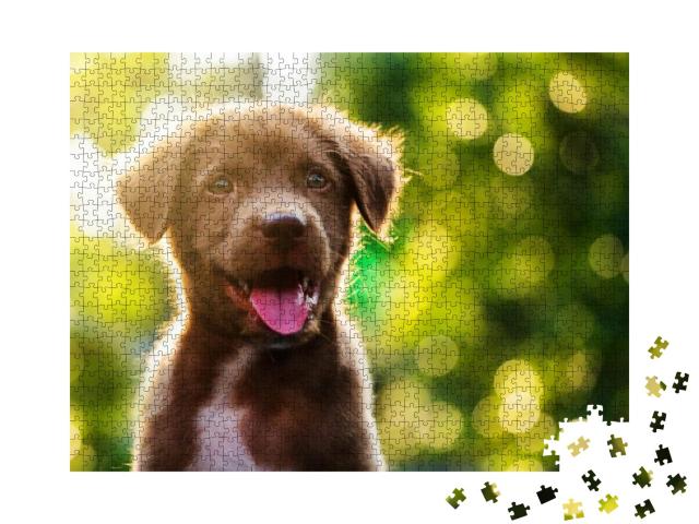 Puzzle 1000 Teile „Labrador Retriever Welpe im Sonnenschein“