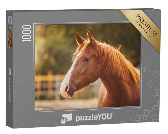 Puzzle 1000 Teile „Porträt eines Pferdes im Abendlicht“