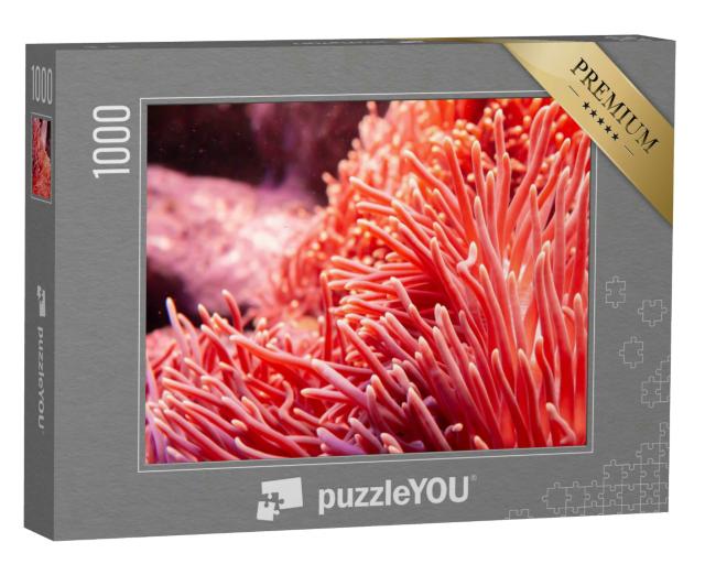 Puzzle 1000 Teile „Makrofotografie: rosarote Koralle in der Unterwasserwelt“