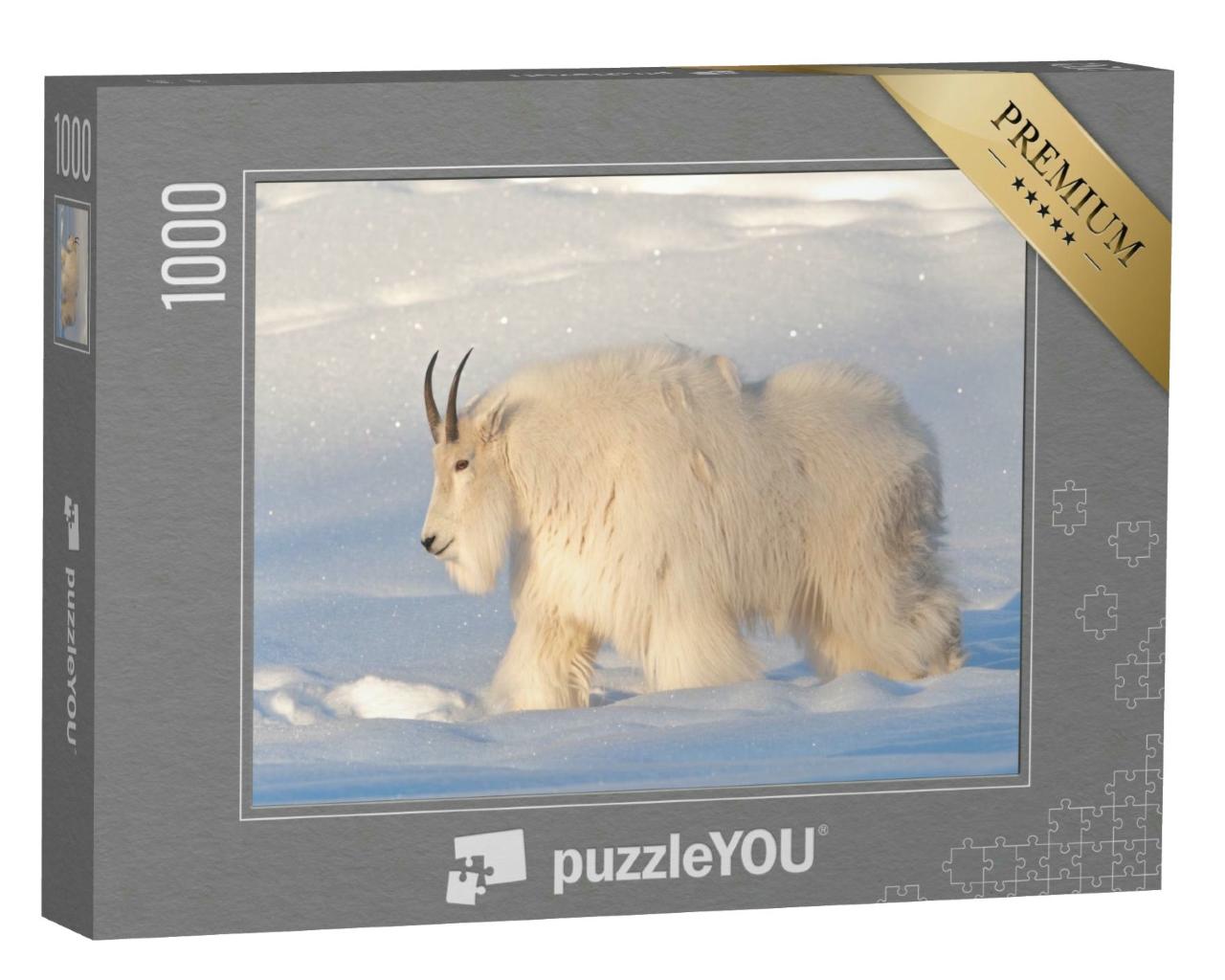 Puzzle 1000 Teile „Eine weiße, haarige Bergziege im Norden Kanadas, verschneiter Hintergrund“