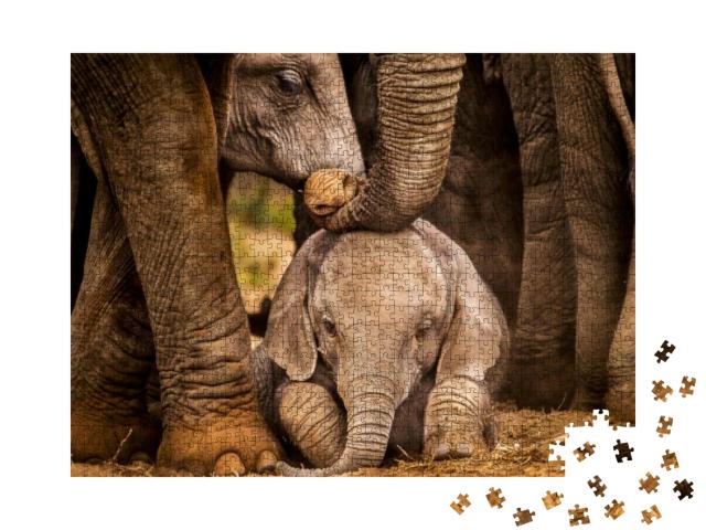 Puzzle 1000 Teile „Elefantenkalb unter dem Schutz der Herde“