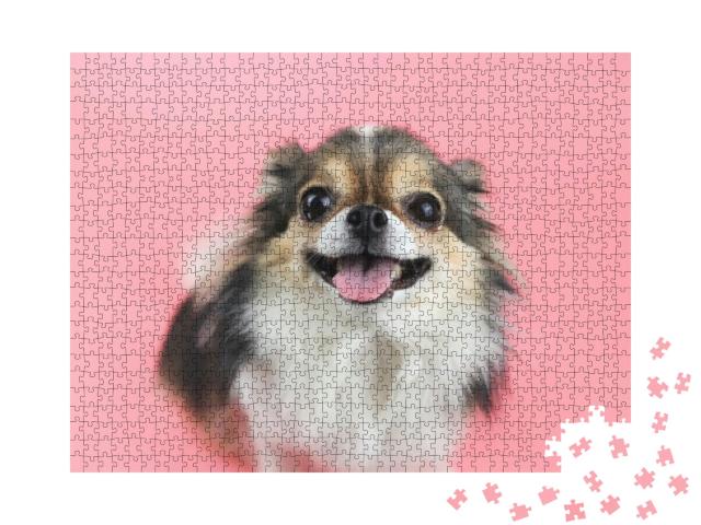 Puzzle 1000 Teile „Nahaufnahme: Chihuahua mit langen Haaren und rosa Zunge“