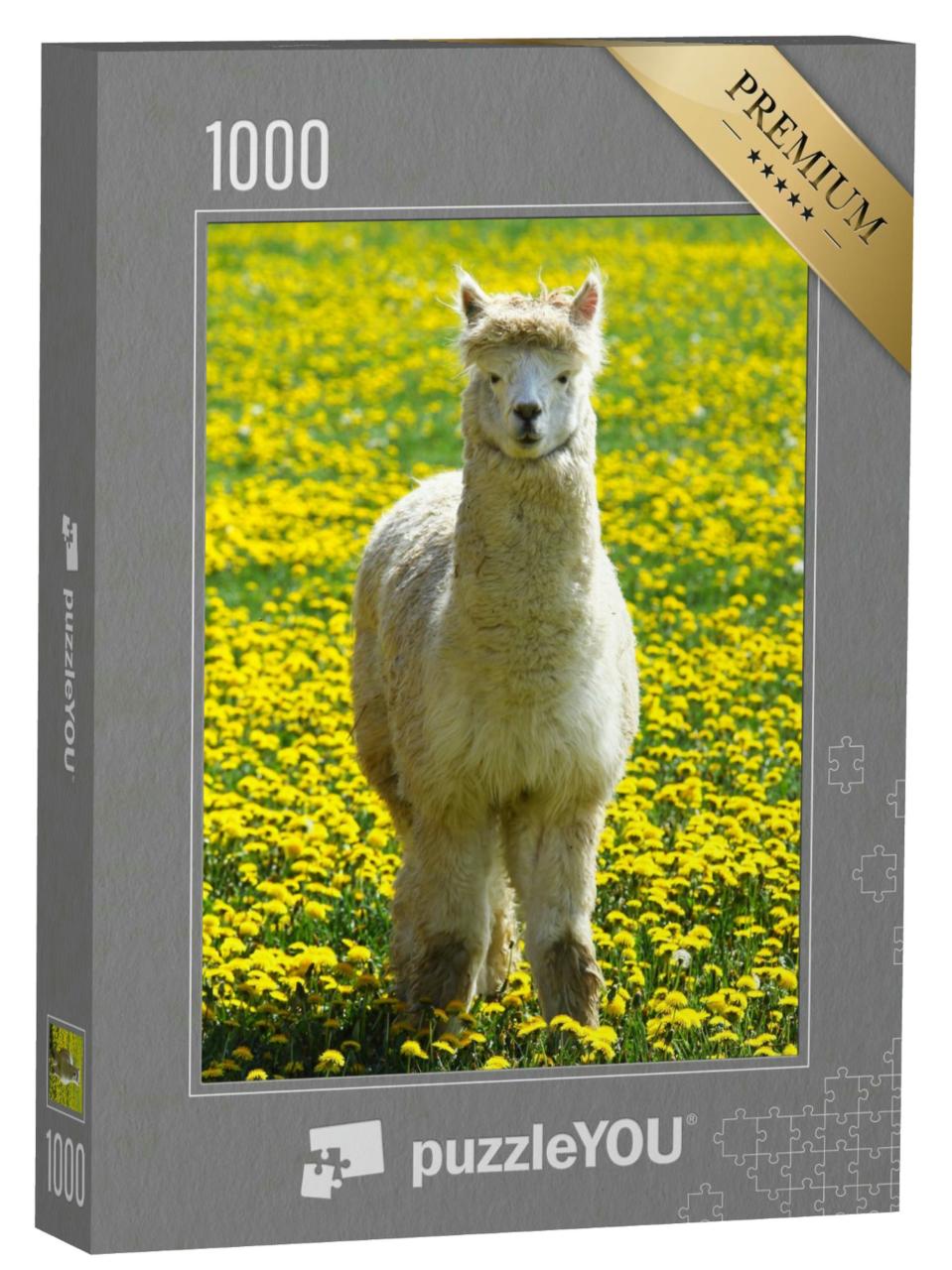 Puzzle 1000 Teile „Alpaka auf einer Sommerwiese mit gelben Blumen“
