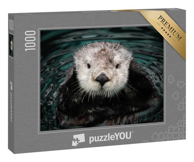 Puzzle 1000 Teile „Seeotter im Wasser“