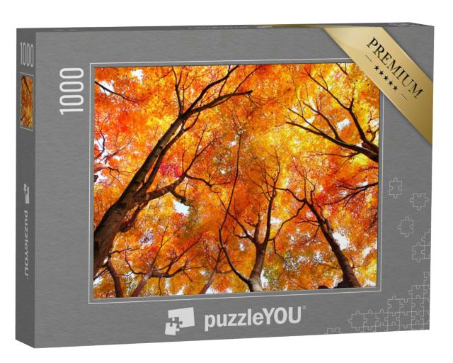 Puzzle 1000 Teile „Ahornbäume im Herbst“