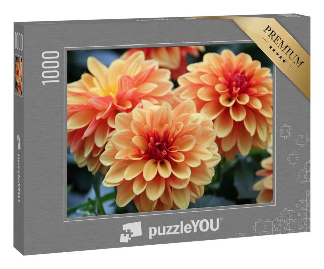 Puzzle 1000 Teile „Dahlienblüten sind bunt und orange“