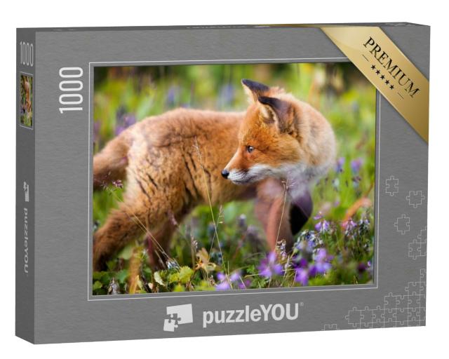 Puzzle 1000 Teile „Neugieriges Rotfuchsjunges in einer Blumenwiese“