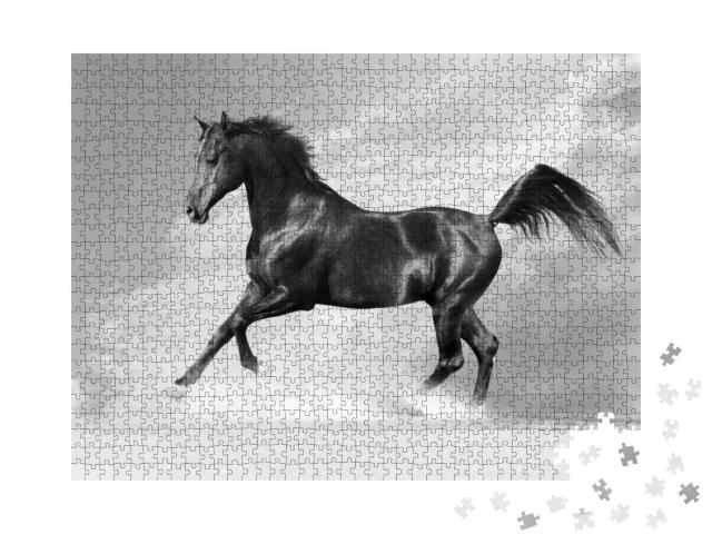 Puzzle 1000 Teile „Schwarzer Araber, Pferd im Winter“