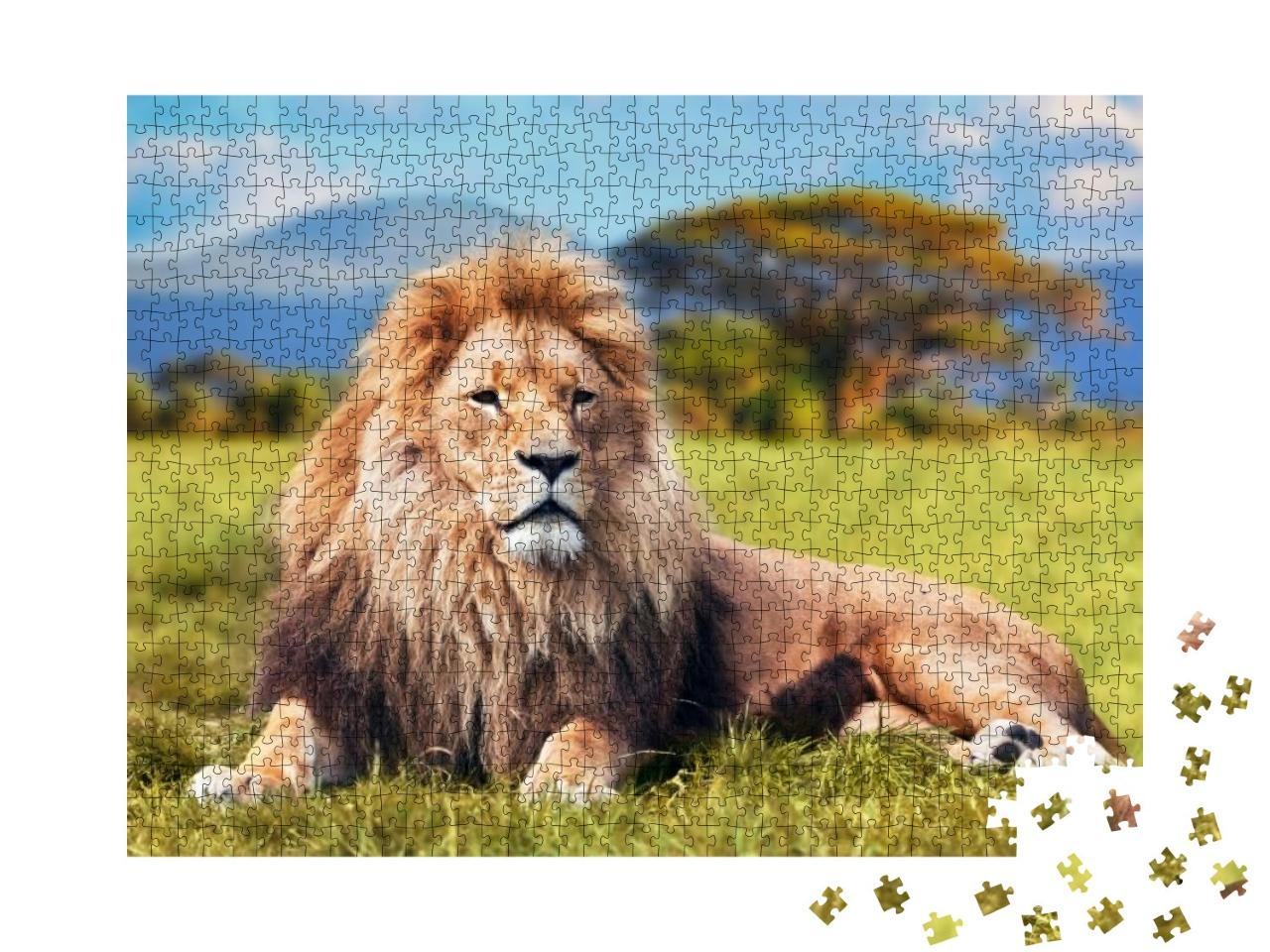 Puzzle 1000 Teile „Großer Löwe im Savannengras“