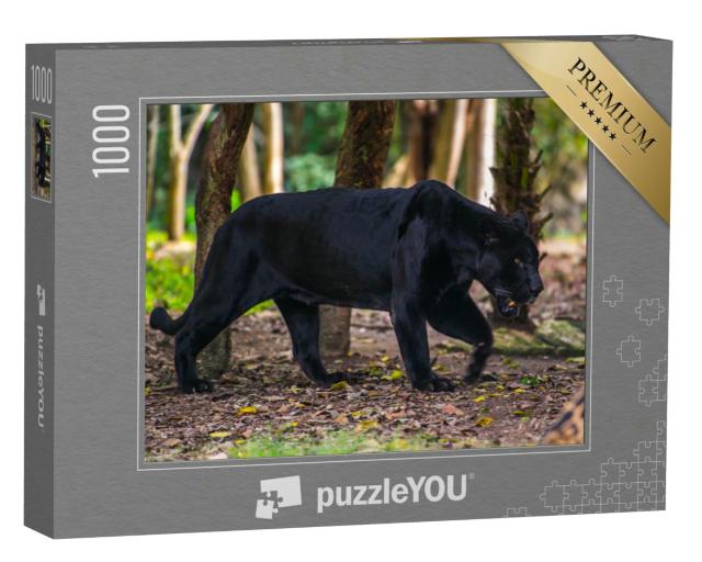Puzzle 1000 Teile „Schwarzer Panther wandert durch den Dschungel“