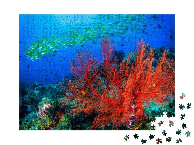 Puzzle 1000 Teile „Unterwasserszene mit einer roten Koralle und einem Schwarm von Korallenfischen“