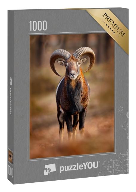 Puzzle 1000 Teile „Mufflon, Ovis orientalis, Säugetier mit großen Hörnern, Prag, Tschechische Republik“
