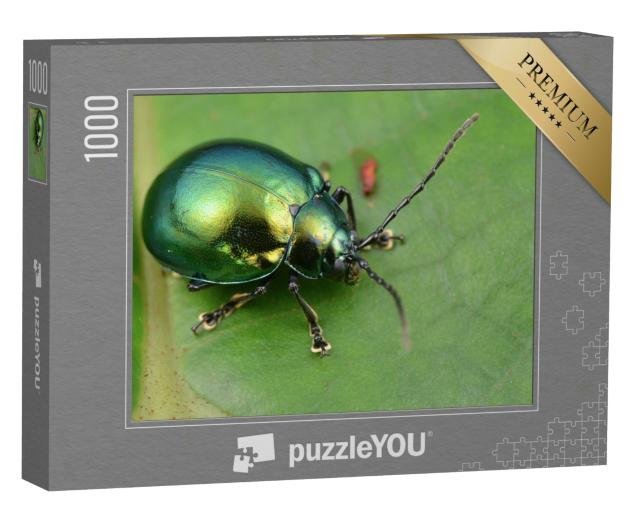 Puzzle 1000 Teile „Makroaufnahme eines grün glänzenden Blattkäfers“