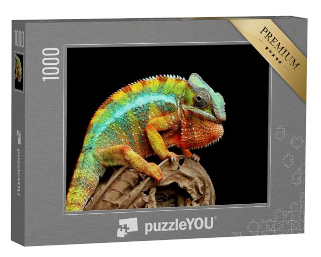 Puzzle 1000 Teile „Chamäleon Panther auf trockenen Blättern, Nahaufnahme“