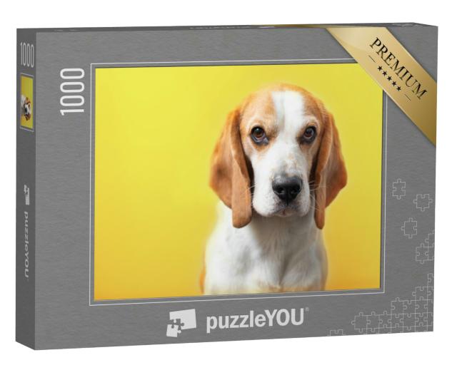 Puzzle 1000 Teile „Porträt eines süßen, liebenswerten Beagles“