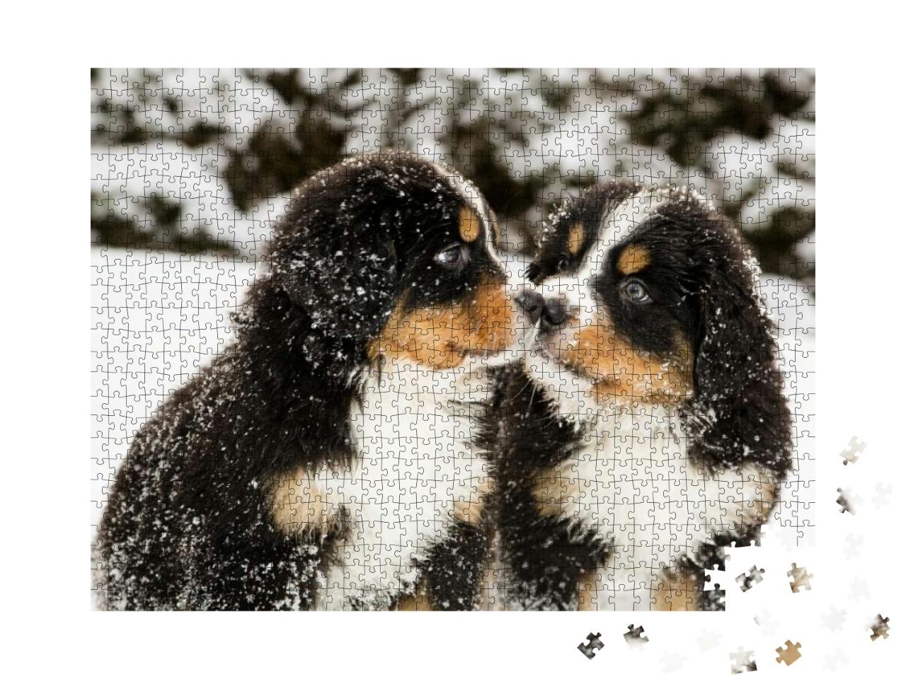 Puzzle 1000 Teile „Mit Schnee bestäubte Berner Sennenhund-Welpen“