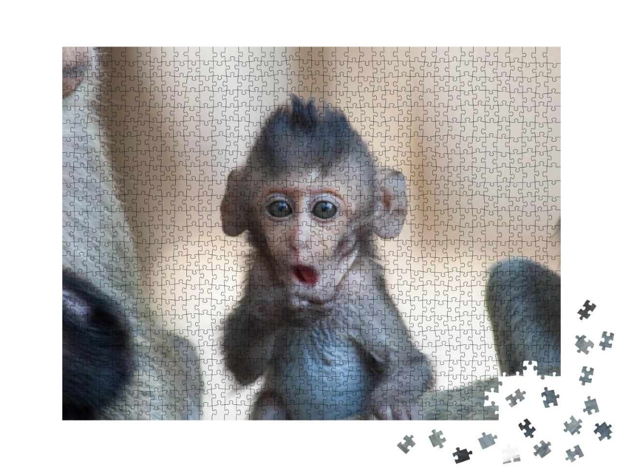 Puzzle 1000 Teile „Ein niedlicher Affe lebt im Wald, Thailand“