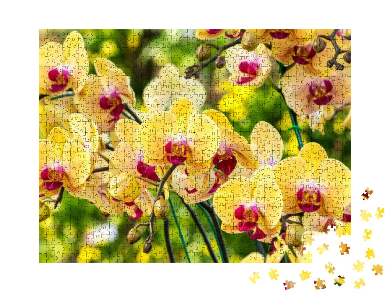 Puzzle 1000 Teile „Wunderschöne gelbe Orchidee“