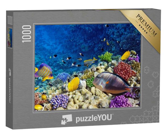 Puzzle 1000 Teile „Farbenfrohe Korallen und Fische im Roten Meer, Ägypten“