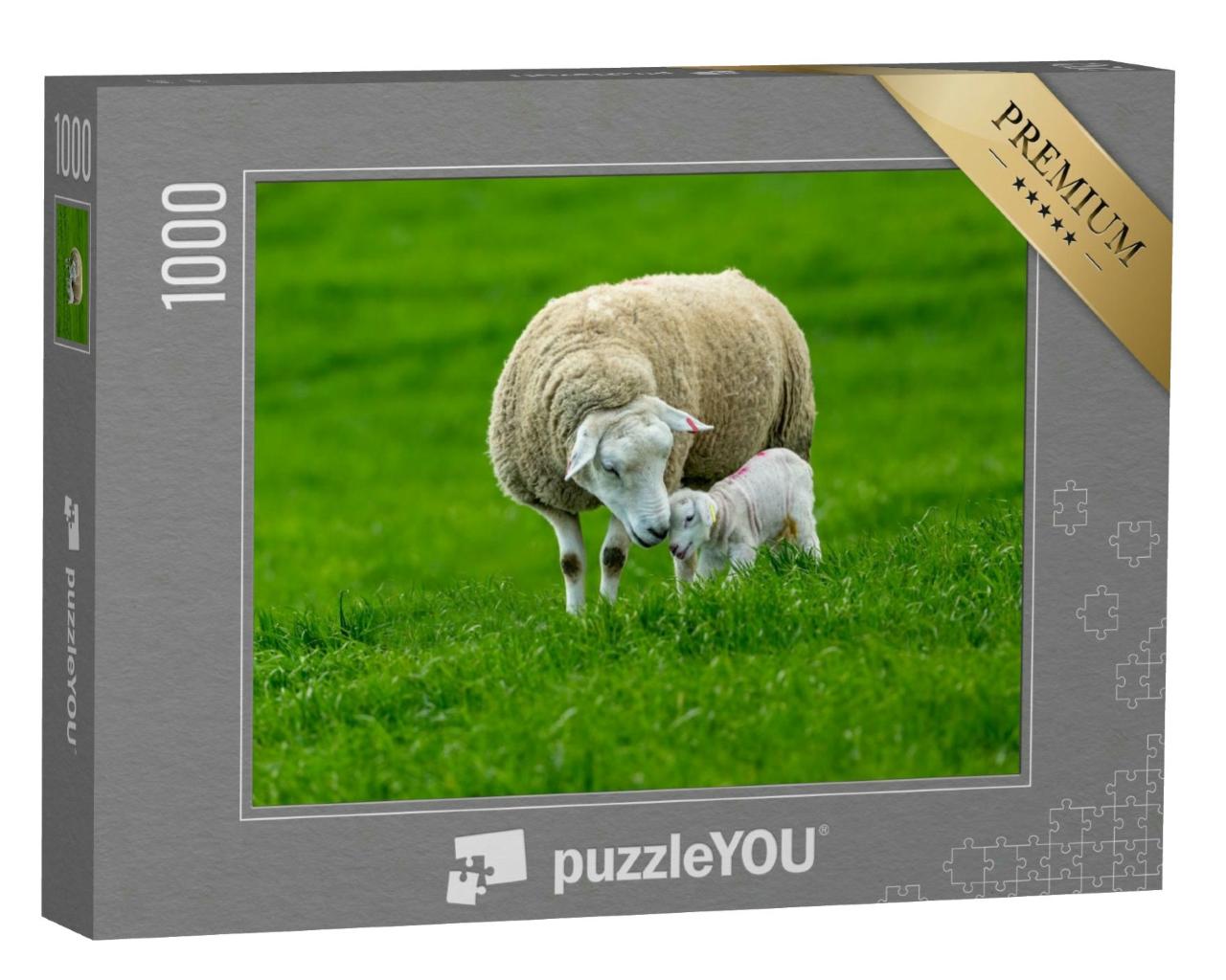 Puzzle 1000 Teile „Ein Schaf mit seinem neugeborenen Lamm, ein zärtlicher Moment“