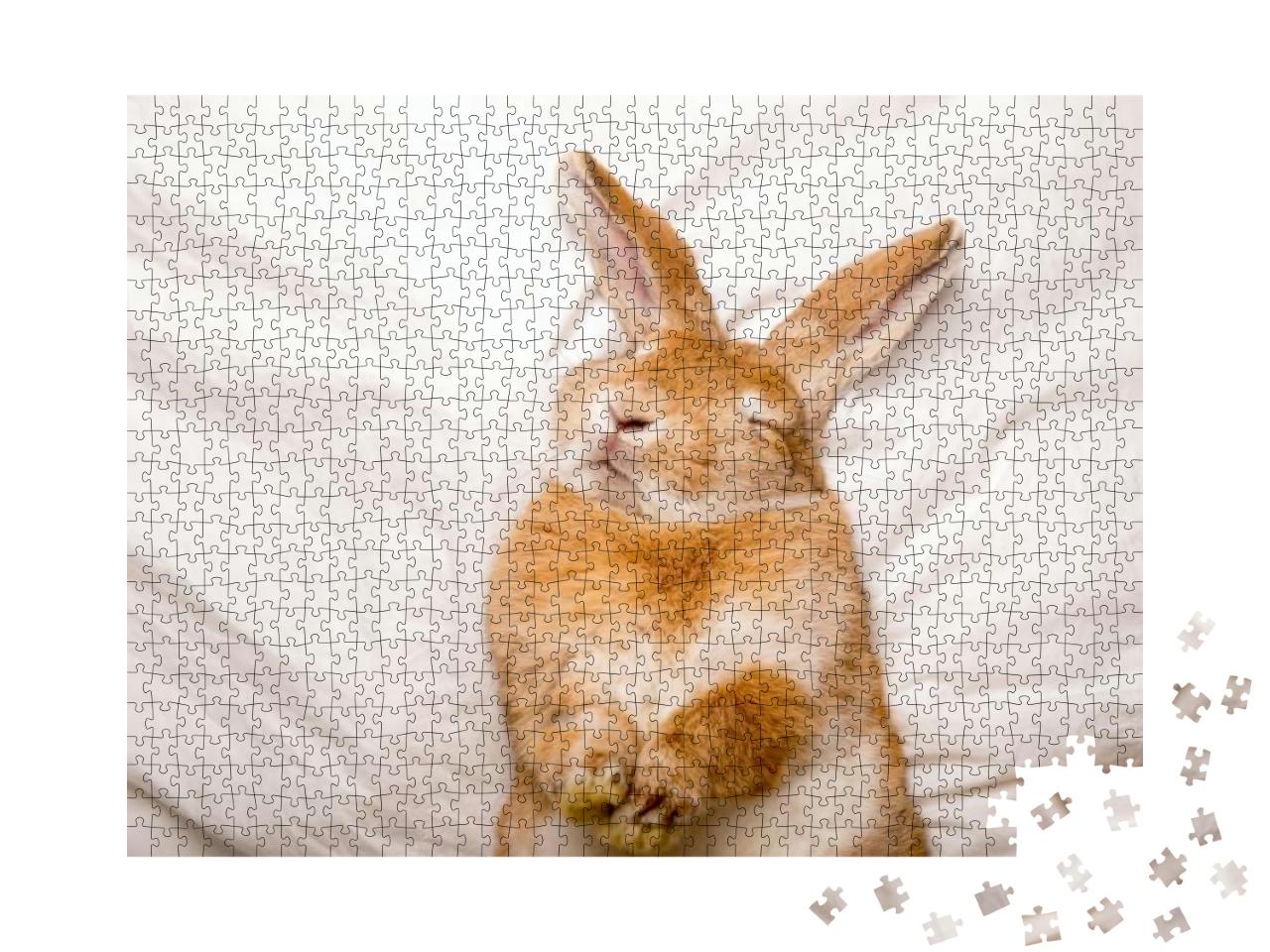 Puzzle 1000 Teile „Träumendes Kaninchen im gemütlichen Schlaf“