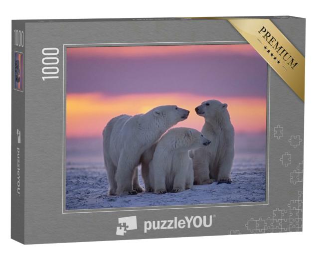 Puzzle 1000 Teile „Eisbärenfamilie im Sonnenuntergang in der kanadischen Arktis.“