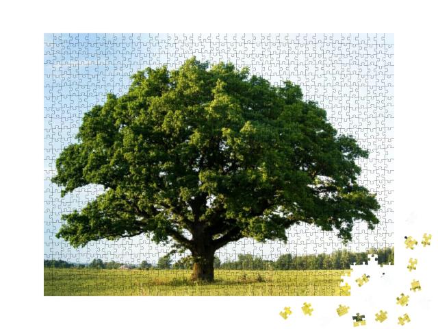 Puzzle 1000 Teile „Einsame grüne Eiche auf dem Feld“