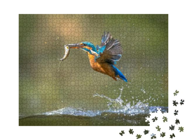 Puzzle 1000 Teile „Eisvogel mit Fisch im Schnabel taucht auf“